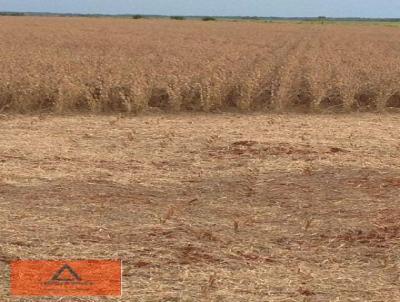 Fazenda para Venda, em Ribeiro Cascalheira, bairro Rural