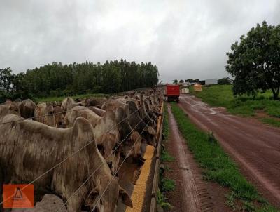 Fazenda para Venda, em Una, bairro Rural