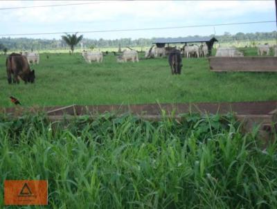 Fazenda para Venda, em Nova Bandeirantes, bairro Rural