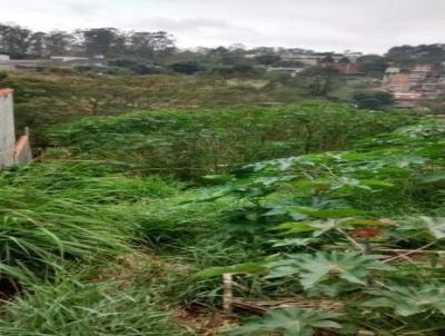 Terreno para Venda, em Itapecerica da Serra, bairro Parque Paraso