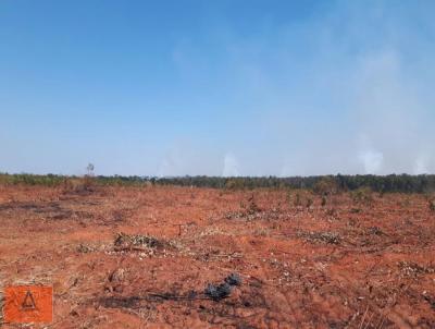 Fazenda para Venda, em So Flix do Araguaia, bairro Rural