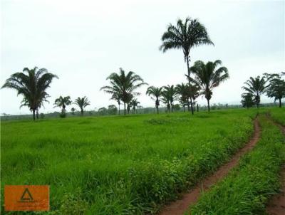 Fazenda para Venda, em Canabrava do Norte, bairro Rural