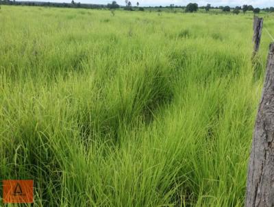 Fazenda para Venda, em Peixe, bairro Rural