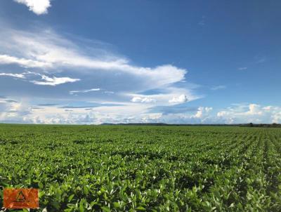 Fazenda para Venda, em Uruu, bairro Rural