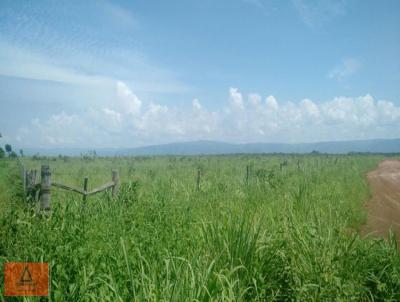 Fazenda para Venda, em Flores de Gois, bairro Rural