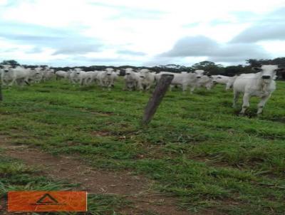 Fazenda para Venda, em Marianpolis do Tocantins, bairro Rural