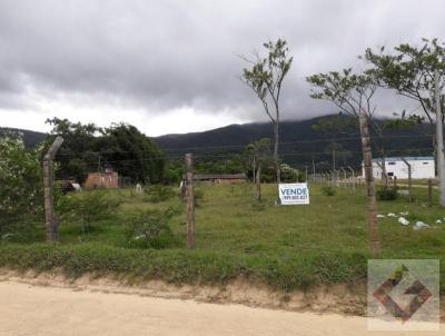 Terreno para Venda, em Garopaba, bairro Encantada