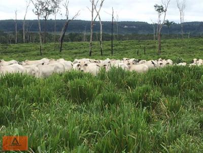 Fazenda para Venda, em Ipiranga do Norte, bairro Rural