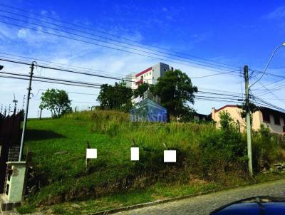 Terreno para Venda, em Caxias do Sul, bairro Cristo Redentor