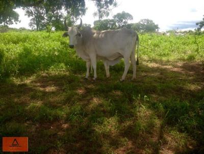 Fazenda para Venda, em Novo So Joaquim, bairro Rural