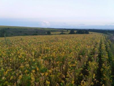 Fazenda para Venda, em Palmeira, bairro Fazenda em Palmeira