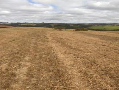 Fazenda para Venda, em , bairro Fazenda em Itarare