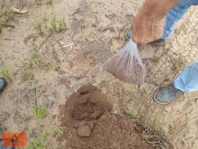 Fazenda para Venda, em Tangar da Serra, bairro Rural