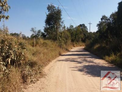 Stio para Venda, em Araariguama, bairro aparecidinha