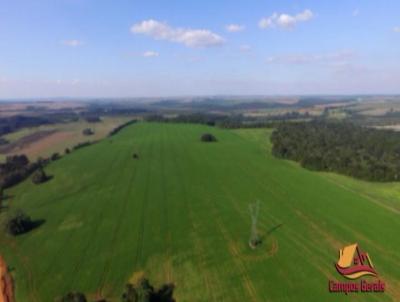 Fazenda para Venda, em Teixeira Soares, bairro Fazenda em Teixeira Soares