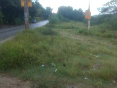 Terreno para Venda, em Suzano, bairro Jardim Santa Ins