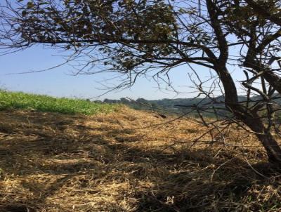 Terreno para Venda, em Itapecerica da Serra, bairro Lagoa