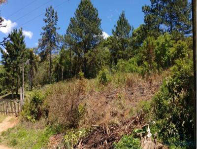 Terreno para Venda, em Itapecerica da Serra, bairro Palmeiras