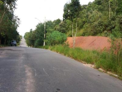 Terreno Comercial para Venda, em So Paulo, bairro Horto do Yp C.Limpo.