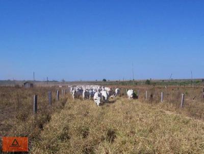 Fazenda para Venda, em So Jos do Xingu, bairro Rural