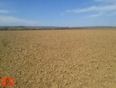 Fazenda para Venda, em Monte do Carmo, bairro Rural