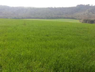 Fazenda para Venda, em Iva, bairro Fazenda em Iva