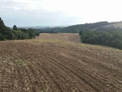 Fazenda para Venda, em Teixeira Soares, bairro Fazenda em Teixeira Soares