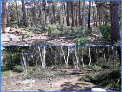 Terreno para Venda, em Itapecerica da Serra, bairro Lagoa