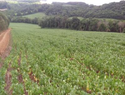 Stio para Venda, em Ipiranga, bairro Marmota