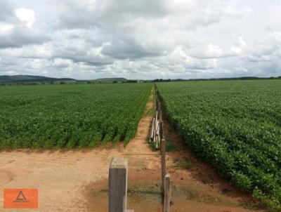 Fazenda para Venda, em Figueirpolis, bairro Rural