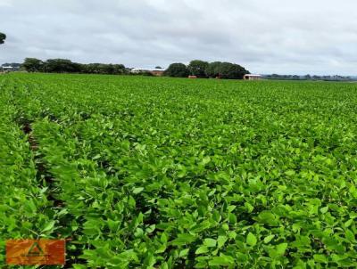 Fazenda para Venda, em Sinop, bairro Rural