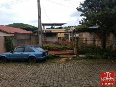 Lote para Venda, em Cataguases, bairro Beira Rio