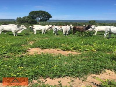 Fazenda para Venda, em Palmeirpolis, bairro Rural