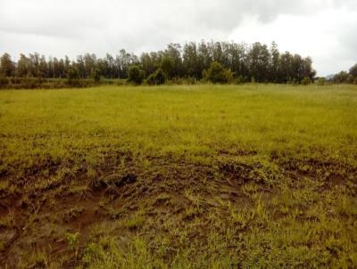 Terreno para Venda, em Vera Cruz, bairro Avenida