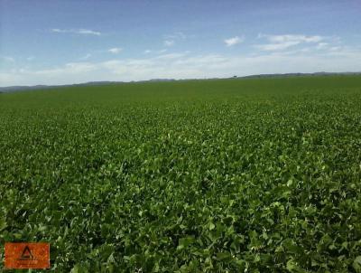 Fazenda para Venda, em Cristalina, bairro Rural