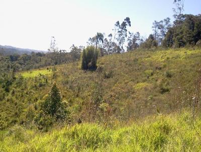 rea para Venda, em Itapecerica da Serra, bairro da Lagoa