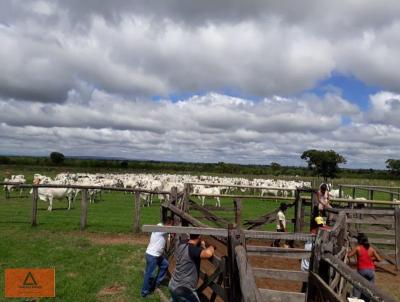 Fazenda para Venda, em So Romo, bairro Rural