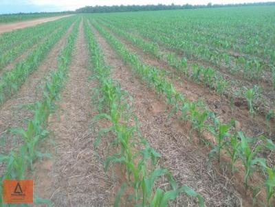 Fazenda para Venda, em Santa Terezinha, bairro Rural