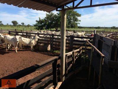 Fazenda para Venda, em Duer, bairro Rural