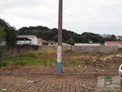 Terreno para Venda, em Campos Novos, bairro Sao Sebastio