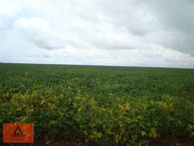 Fazenda para Venda, em Porto dos Gachos, bairro Rural