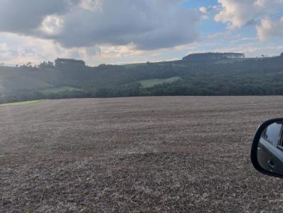 Stio para Venda, em Ipiranga, bairro Pedra Preta