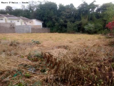 Terreno para Venda, em Campinas, bairro Arruamento Fain Jos Feres