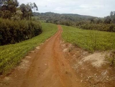 Fazenda para Venda, em Reserva, bairro 65 alqueires