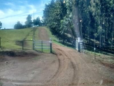 Fazenda para Venda, em Goioxim, bairro 93 alqueires