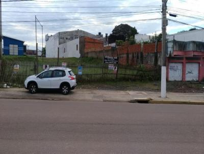 Terreno para Venda, em Gravata, bairro Av. Dorival Cndido Luz de Oliveira