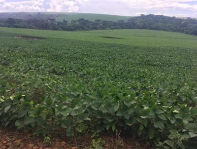 Fazenda para Venda, em Guarapuava, bairro Fazenda com 585 hectares de rea total.