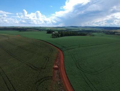 Fazenda para Venda, em Guarapuava, bairro 219 ALQUEIRES