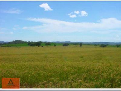 Fazenda para Venda, em Araguana, bairro Rural