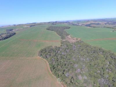 Fazenda para Venda, em Teixeira Soares, bairro .